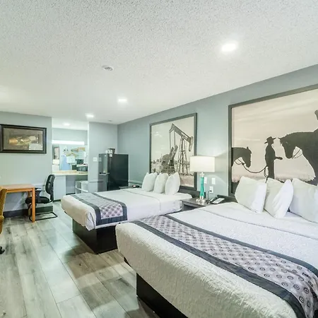 Motel Purple Sage By Oyo Snyder Tx Esterno foto