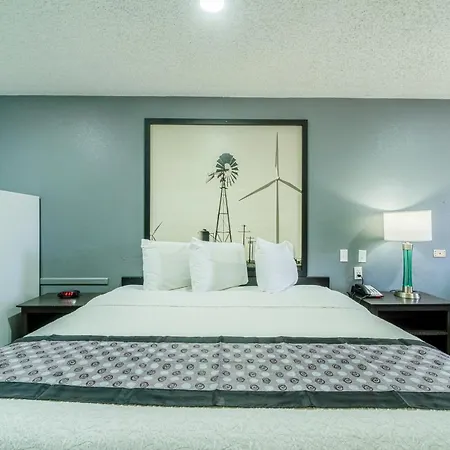 Motel Purple Sage By Oyo Snyder Tx Esterno foto